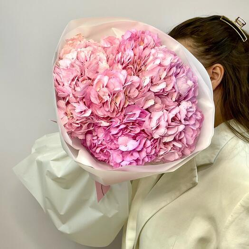 Монобукет из 5 розовых колумбийских гортензий. Монобукет 062 Chalet Green