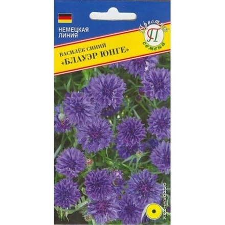 Василек Блауэр Юнге синий Престиж