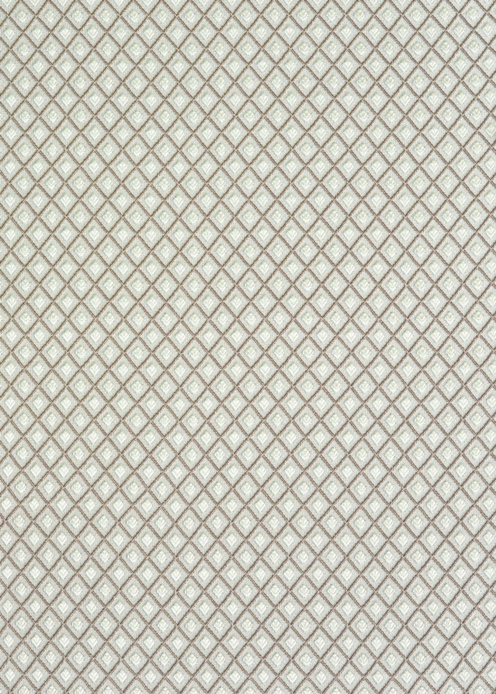 Жаккард Bristol / Бристоль