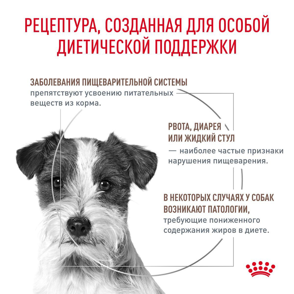 Royal Canin GASTROINTESTINAL SMALL DOG LOW FAT корм сухой для взрослых собак мелких пород при нарушениях пищеварения 1 кг