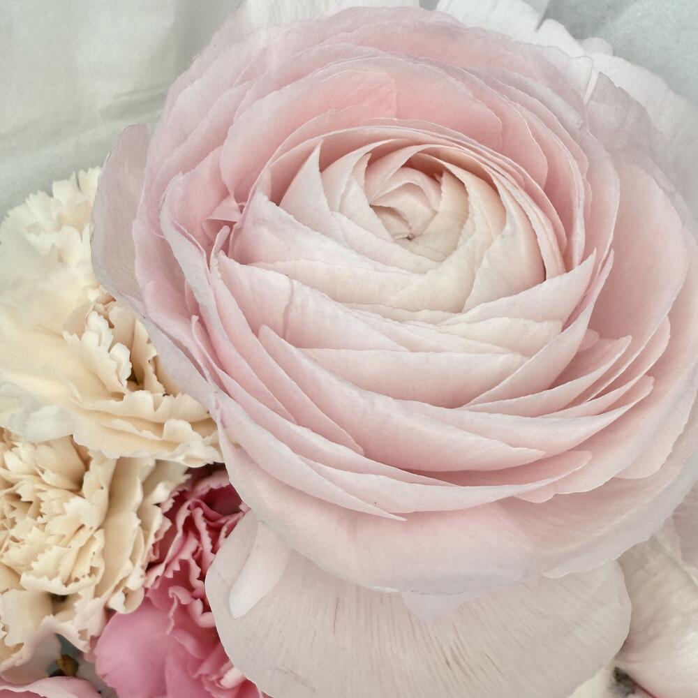 «Pink souffle» букет с ранункулюсами, диантусами и хлопком