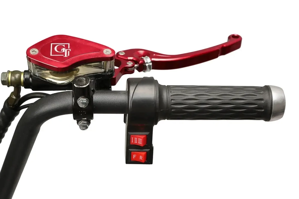 Электроскутер GT Citycoco X7 PRO TRIKE