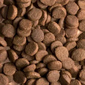 Сухой корм ProBalance Adult Light Beef для взрослых собак всех пород с говядиной