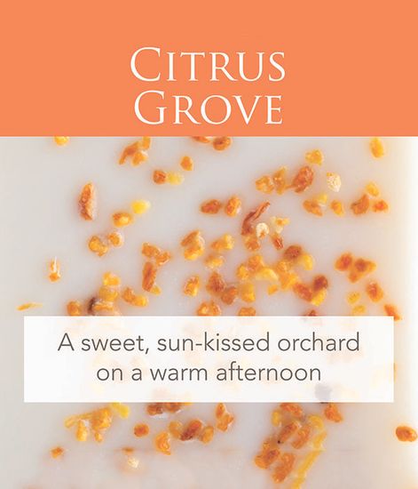 Цитрусовая роща ароматический воск, Candle Warmers