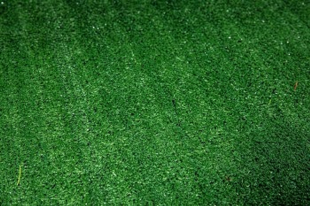 Искусственная трава Импортэкс трава 8 мм