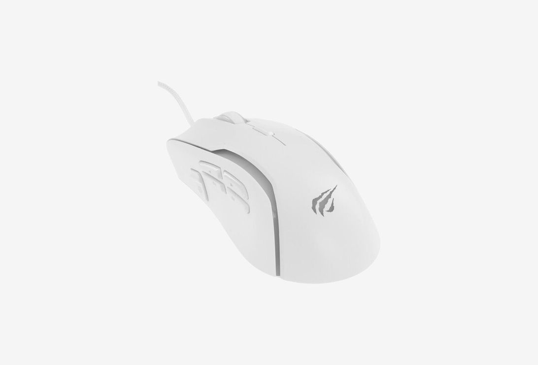 203016005695255_0426326100947