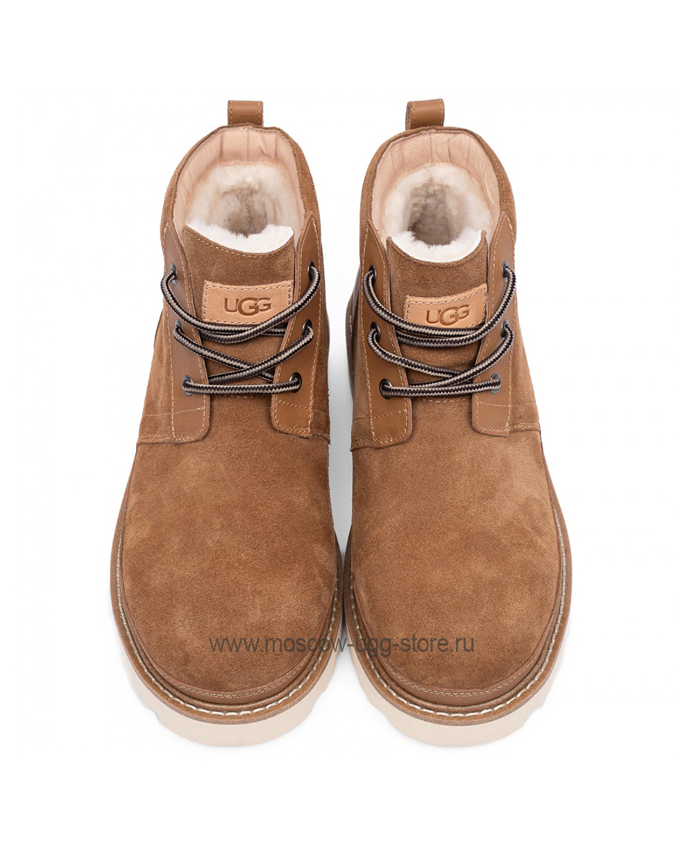 NEUMEL GENTLEMAN Chestnut