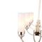 Подвесная люстра ST Luce Elegra SL1402.263.08