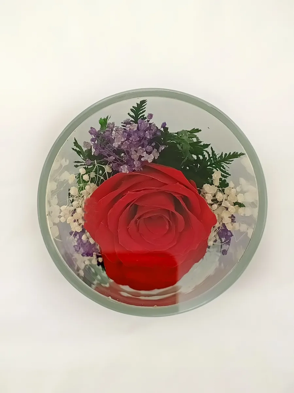 натуральные цветы в стекле, вакуум