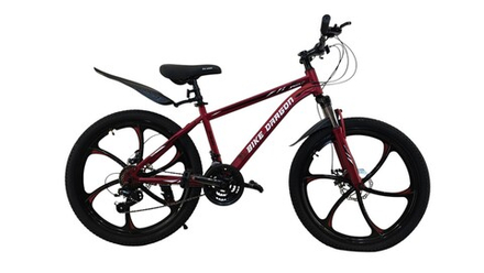 Велосипед Bike Dragon 24" 21скор BD-2-24/6-3 красный