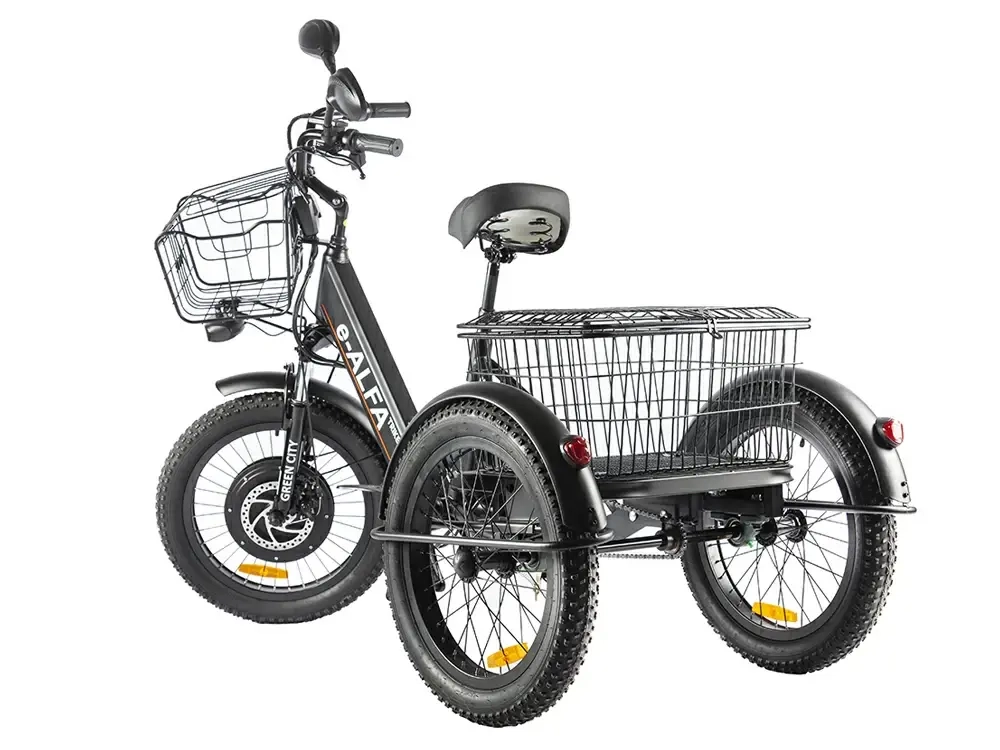 Электровелосипед GREEN CITY e-ALFA Trike (черный)