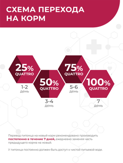 Корм для собак мелких пород VD Cardiac formula CHF, диетический, при хронической сердечной недостаточности, 800 гр, QUATTRO
