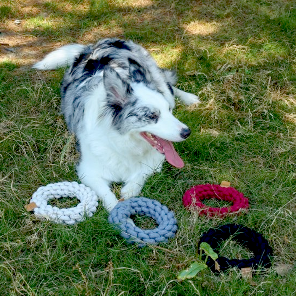 Игрушка для собак Кольцо COTO 18 см M-Pets