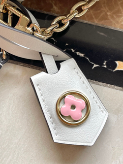 Louis Vuitton Ivy Wallet On Chain Bag