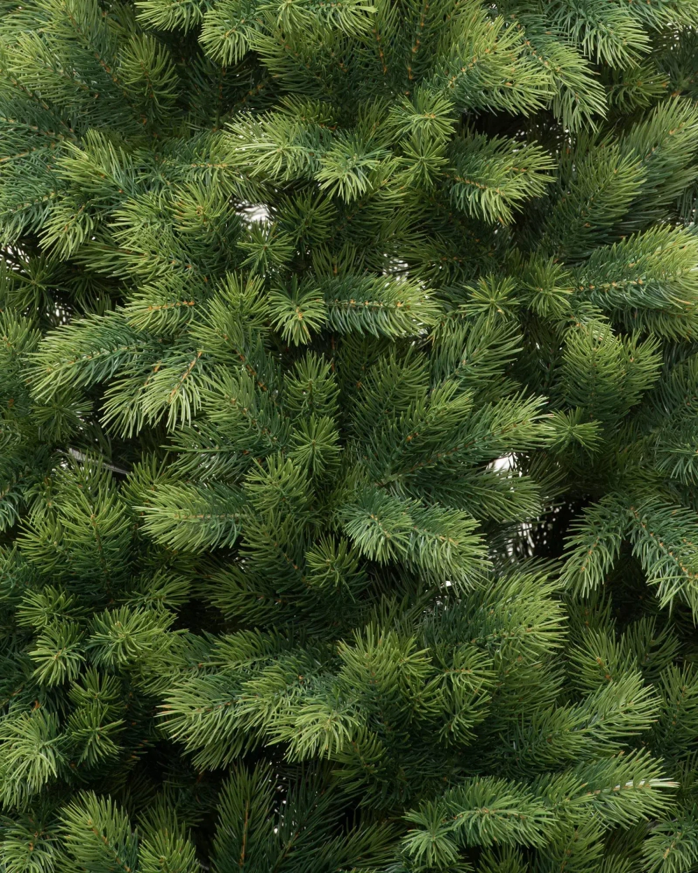 Искусственная елка Таежная 180 см., 100% литая хвоя, ЕлкиТорг (161180)