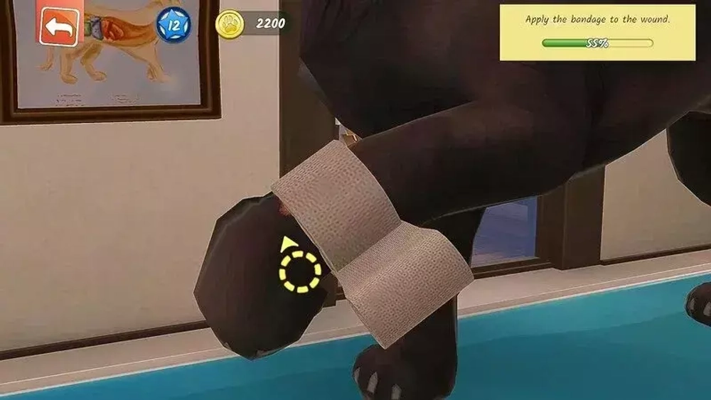 Игра Animal Hospital (Русская версия) для PlayStation 4