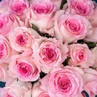 Мандала 50 см