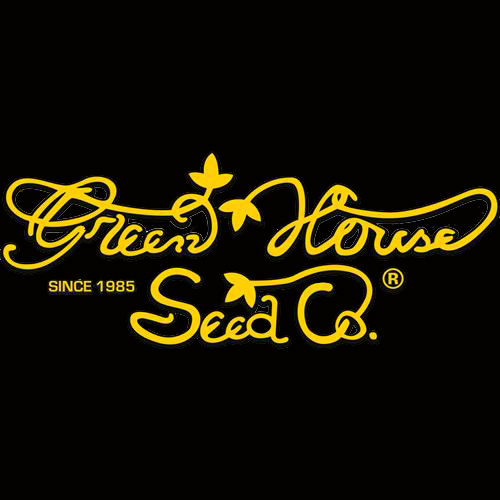 Franco’s Lemon Cheese fem