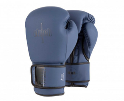 Перчатки боксерские Clinch Mist 2.0 синие C183