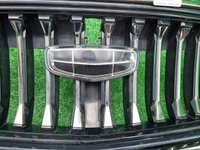 Решетка радиатора Geely Monjaro (2021-н.в.)