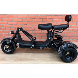 Электроскутер Citycoco Trike GT Mini X3