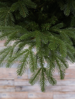 Ель Дворянская Black Box Nat 230см зеленая