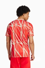 Футболка adidas FC Bayern 24/25 Pre-Match