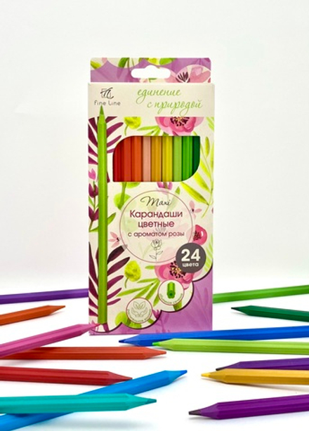 Карандаши цветные с ароматом розы Fine Line Maxi 24 цвета