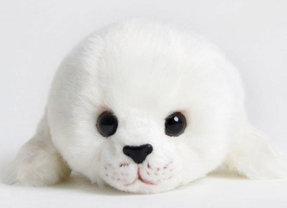 Нерпочка - белёк 25 см