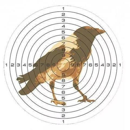 Мишень бумажная Стикхант Ворона 140x140 мм