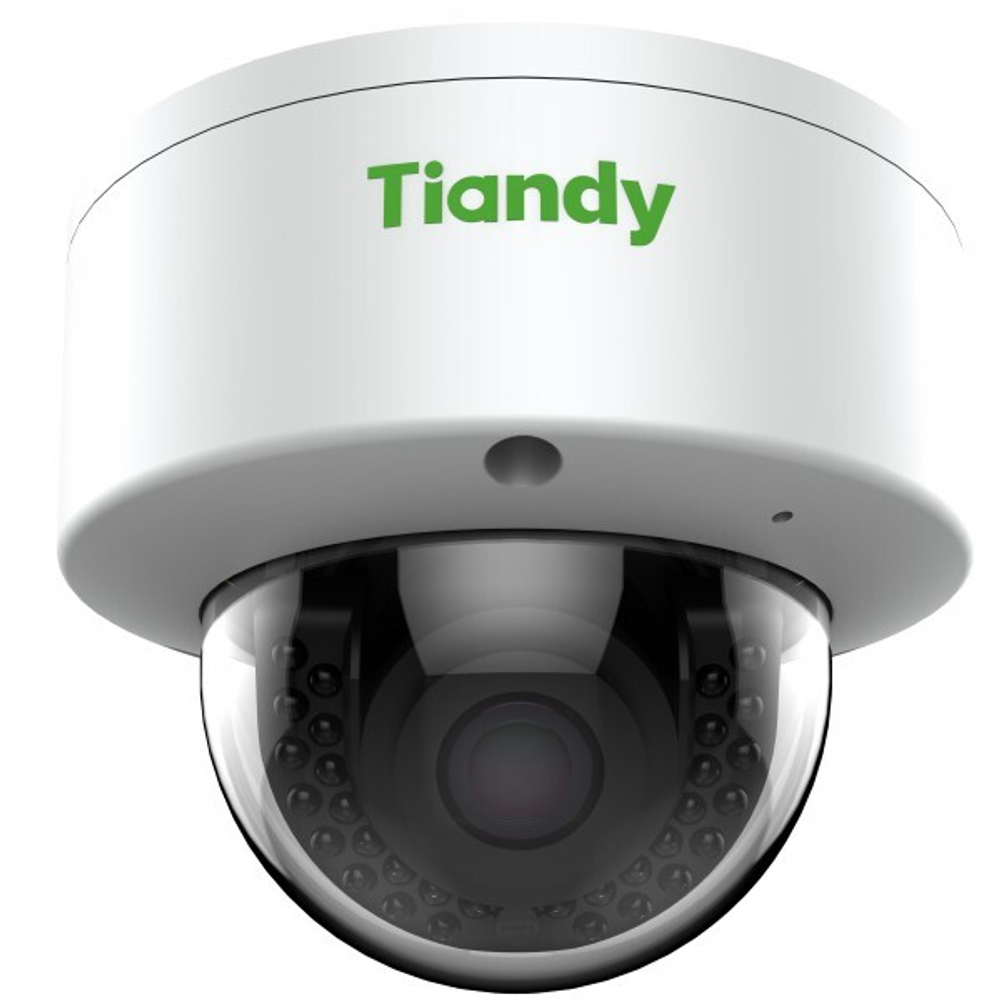 IP камера  TIANDY TC-NC24M