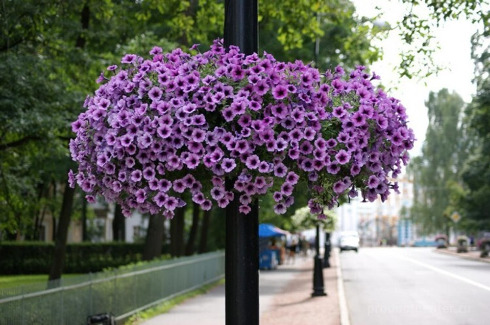 Обруч-750, цветочница для опоры (столба)