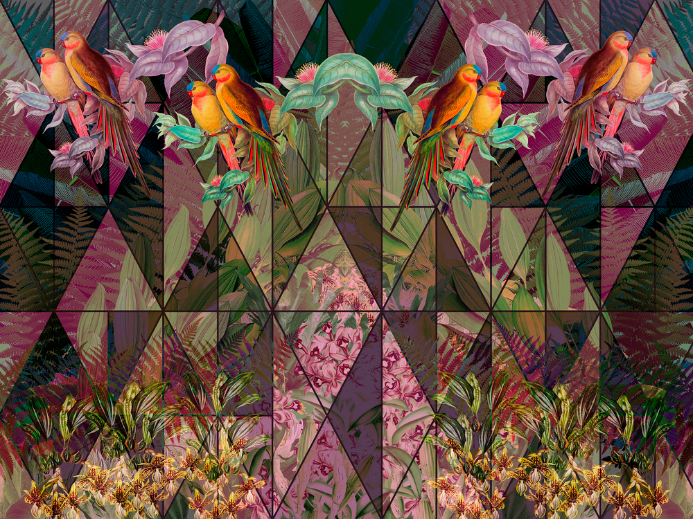 Коллекция GEOTROPICK