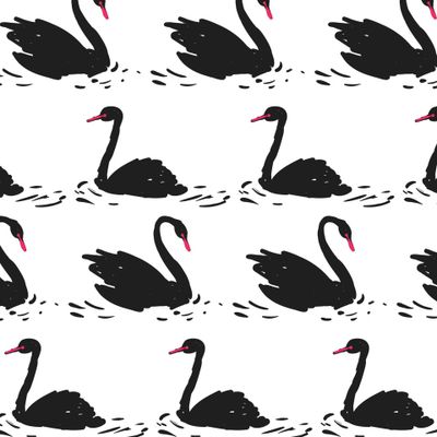 Черные лебеди плавают в белом озере