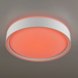 Citilux BOSS CL751250G LED RGB Светильник с пультом Белый