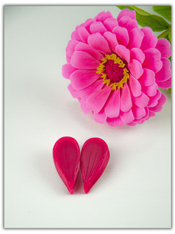 Лепестки циннии