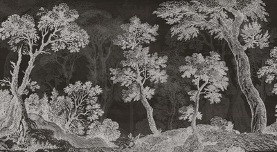 Дизайнерские обои Wall Street Estampe