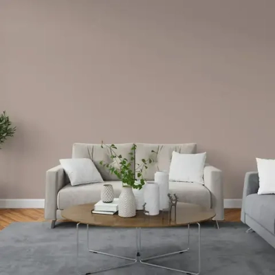 Краска интерьерная PARITET Теплый Какао 2,5 л