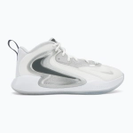 Кроссовки волейбольные Nike Hyperset 2 SE smmit white/metalic silver/pure platinum