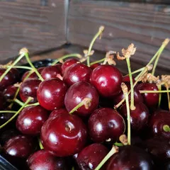 Вишня свежая / 500 гр Вишня свежая / 500 гр