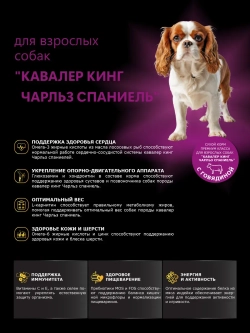 Корм сухой для Кавалер кинг Чарльз спаниеля, говядина 12 кг
