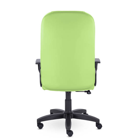 Кресло СН-277 Бостон В пластик 727 S-0406 (фисташковый)