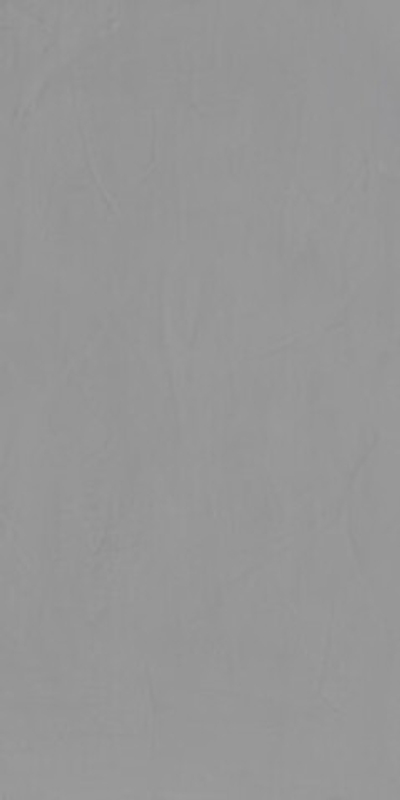 Керамогранит MONOCOLOR Artcolor Stainless (ENMON8020DM60120) DIGI MATT