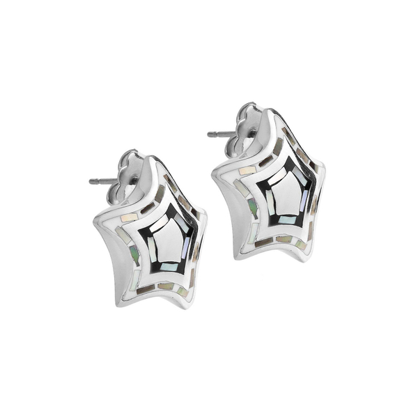 Серьги Fiore Luna AE00242-1 BW