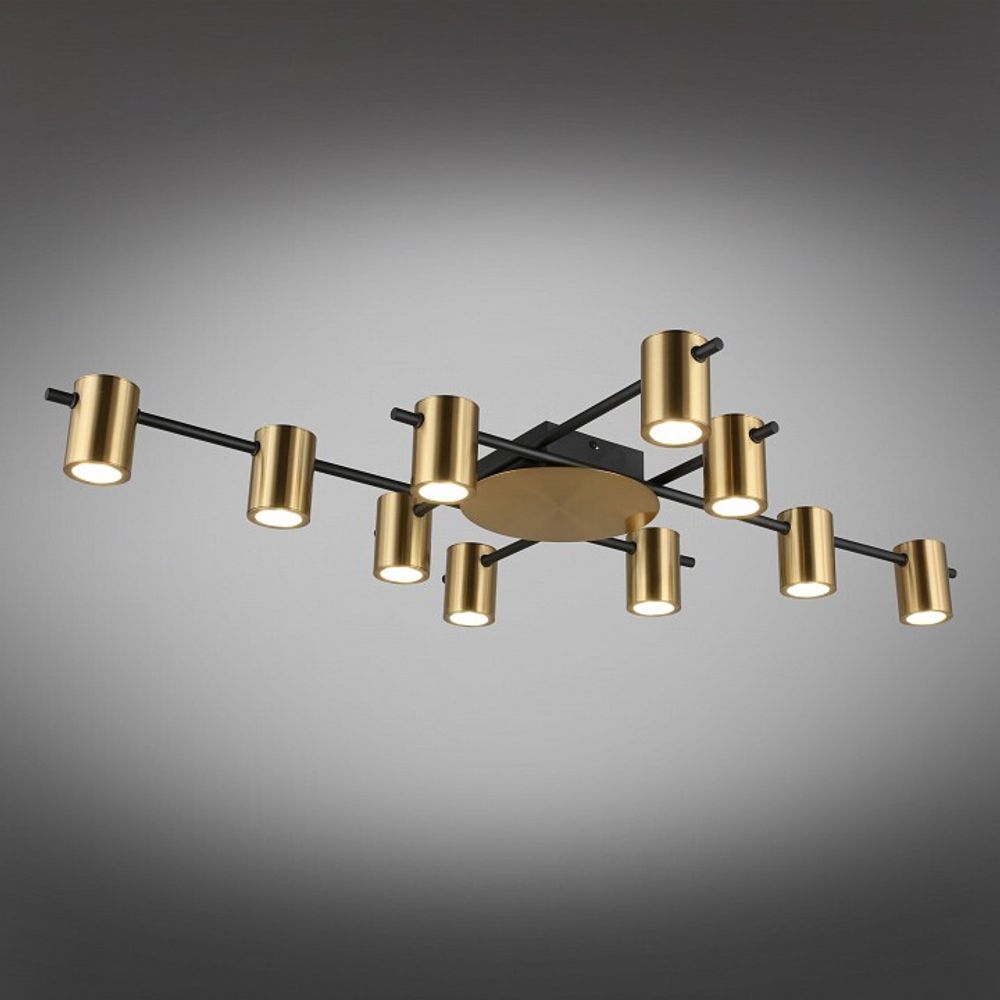 Потолочная люстра Aployt Elwisia APL.633.07.10