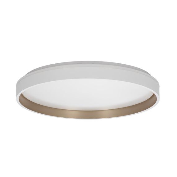 Светильник потолочный Citilux ENZO CL753510G