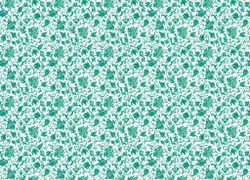 Gloockler Pompoos Provence