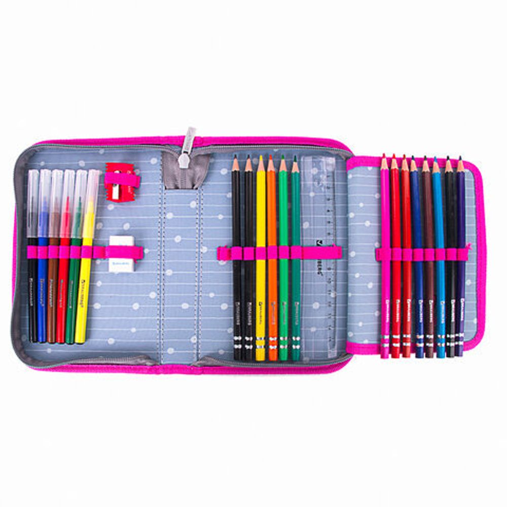 Пенал с наполнением BRAUBERG, 1 отделение, 1 откидная планка, 24 предмета, полиэстер, 21х14 см, "Funny panda", 270315