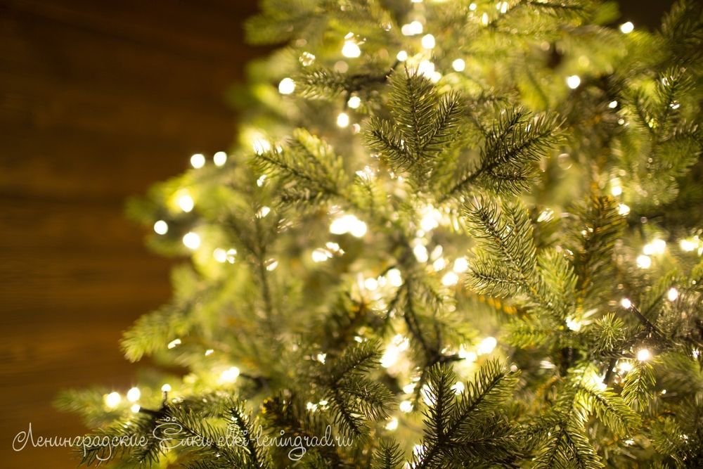 "ГРАЦИО ПРЕМИУМ" Светящаяся 21