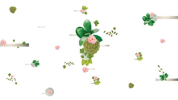 Bombay Perfumery Sulawesi